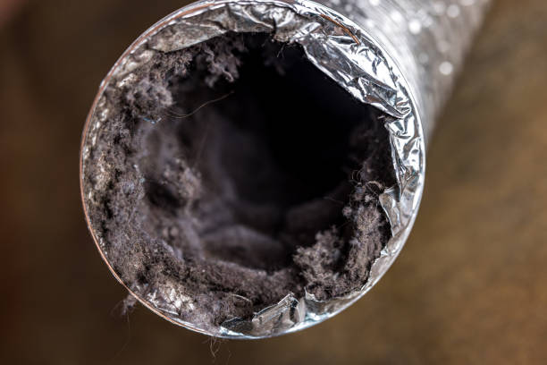 Best HVAC Maintenance and Cleaning  in Hurstbourne Acres, KY